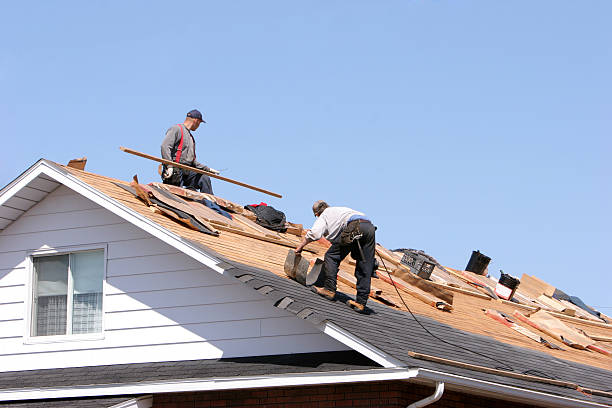 Best Roof Restoration  in Meadowbrook, AL